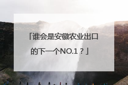 谁会是安徽农业出口的下一个NO.1？