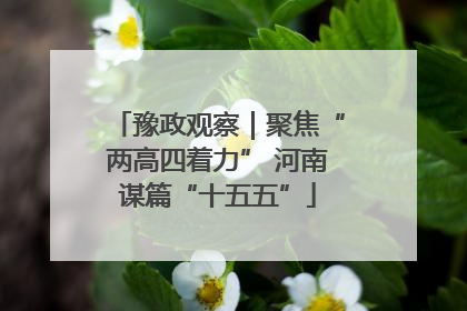 豫政观察｜聚焦“两高四着力” 河南谋篇“十五五”