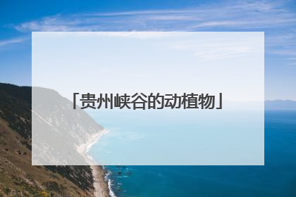 贵州峡谷的动植物