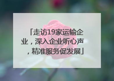 走访19家运输企业，深入企业听心声，精准服务促发展