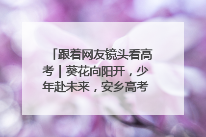 跟着网友镜头看高考｜葵花向阳开，少年赴未来，安乡高考首日的希望图景