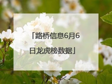 路桥信息6月6日龙虎榜数据