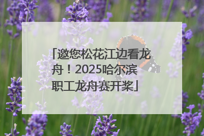 邀您松花江边看龙舟！2025哈尔滨职工龙舟赛开桨