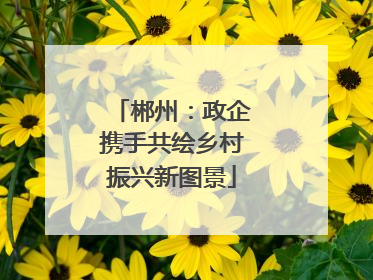 郴州：政企携手共绘乡村振兴新图景