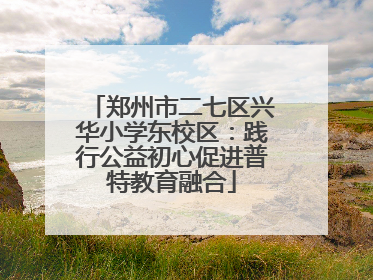 郑州市二七区兴华小学东校区：践行公益初心促进普特教育融合