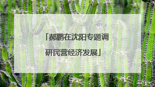 郝鹏在沈阳专题调研民营经济发展