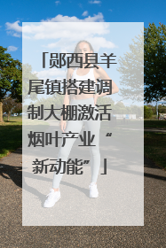 郧西县羊尾镇搭建调制大棚激活烟叶产业“新动能”