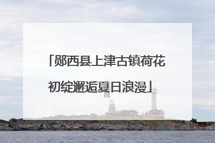 郧西县上津古镇荷花初绽邂逅夏日浪漫