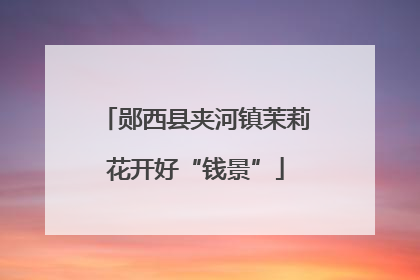 郧西县夹河镇茉莉花开好“钱景”