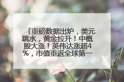 重磅数据出炉，美元跳水，黄金拉升！中概股大涨！英伟达涨超4%，市值重返全球第一！黄仁勋计划出售至多600万股股票