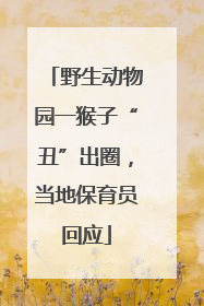 野生动物园一猴子“丑”出圈，当地保育员回应