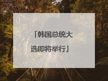 韩国总统大选即将举行