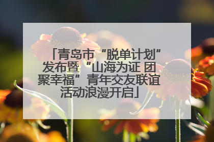 青岛市“脱单计划”发布暨“山海为证 团聚幸福”青年交友联谊活动浪漫开启