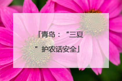 青岛：“三夏”护农话安全