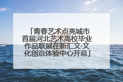 青春艺术点亮城市 首届河北艺术高校毕业作品联展在新汇文·文化创意体验中心开幕