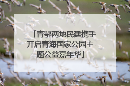 青鄂两地民建携手开启青海国家公园主题公益嘉年华