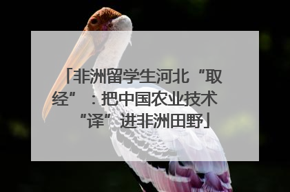 非洲留学生河北“取经”：把中国农业技术“译”进非洲田野