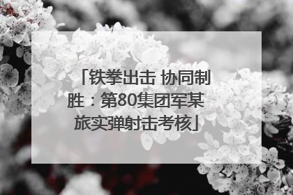 铁拳出击 协同制胜：第80集团军某旅实弹射击考核