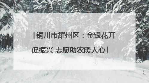 铜川市耀州区：金银花开促振兴 志愿助农暖人心