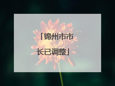 锦州市市长已调整