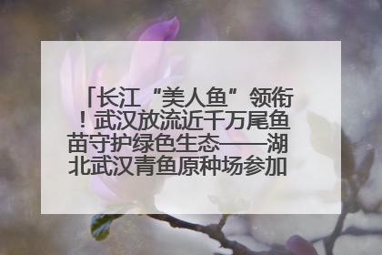 长江“美人鱼”领衔！武汉放流近千万尾鱼苗守护绿色生态——湖北武汉青鱼原种场参加2025年“全国放鱼日”增殖放流活动