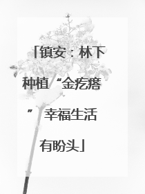 镇安：林下种植“金疙瘩” 幸福生活有盼头