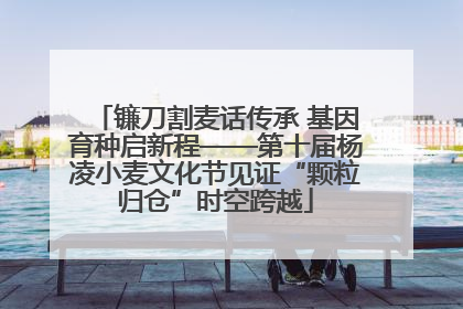 镰刀割麦话传承 基因育种启新程——第十届杨凌小麦文化节见证“颗粒归仓”时空跨越