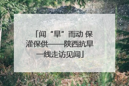 闻“旱”而动 保灌保供——陕西抗旱一线走访见闻