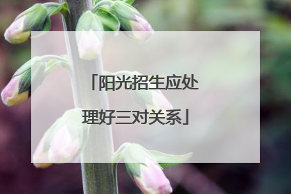 阳光招生应处理好三对关系
