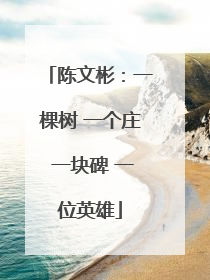 陈文彬：一棵树 一个庄 一块碑 一位英雄