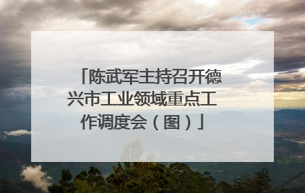 陈武军主持召开德兴市工业领域重点工作调度会（图）