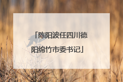 陈阳波任四川德阳绵竹市委书记