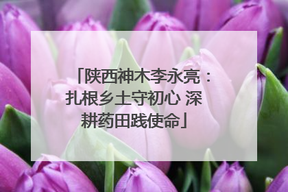 陕西神木李永亮：扎根乡土守初心 深耕药田践使命