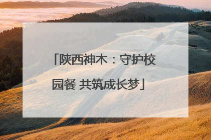 陕西神木：守护校园餐 共筑成长梦