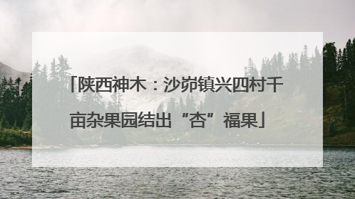陕西神木：沙峁镇兴四村千亩杂果园结出“杏”福果