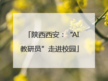 陕西西安：“AI教研员”走进校园