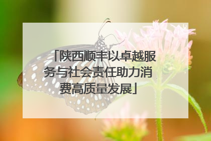 陕西顺丰以卓越服务与社会责任助力消费高质量发展