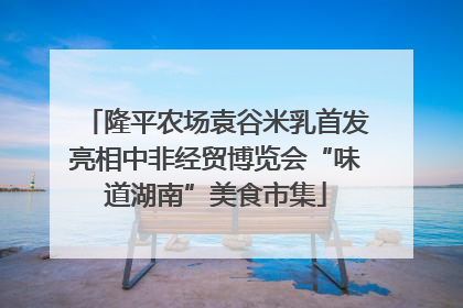 隆平农场袁谷米乳首发亮相中非经贸博览会“味道湖南”美食市集
