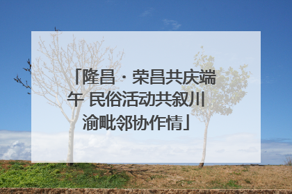 隆昌・荣昌共庆端午 民俗活动共叙川渝毗邻协作情