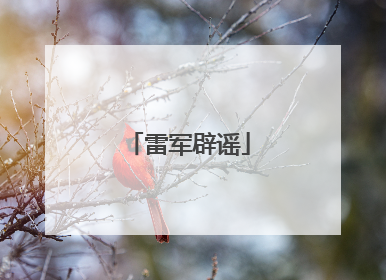 雷军辟谣