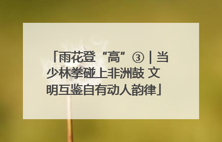 雨花登“高”③｜当少林拳碰上非洲鼓 文明互鉴自有动人韵律