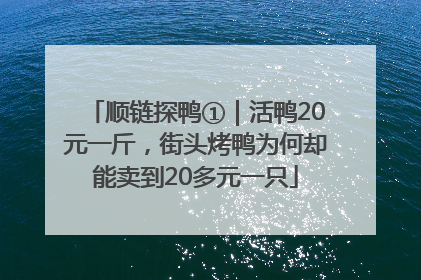 顺链探鸭①｜活鸭20元一斤，街头烤鸭为何却能卖到20多元一只