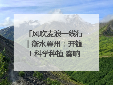风吹麦浪一线行｜衡水冀州：开镰！科学种植 奏响丰收序曲