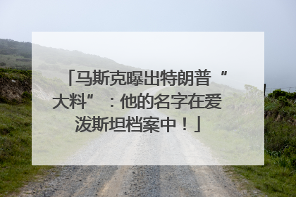 马斯克曝出特朗普“大料”：他的名字在爱泼斯坦档案中！