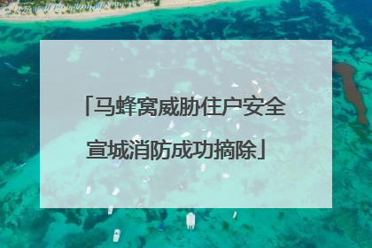 马蜂窝威胁住户安全 宣城消防成功摘除