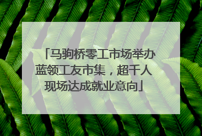 马驹桥零工市场举办蓝领工友市集，超千人现场达成就业意向