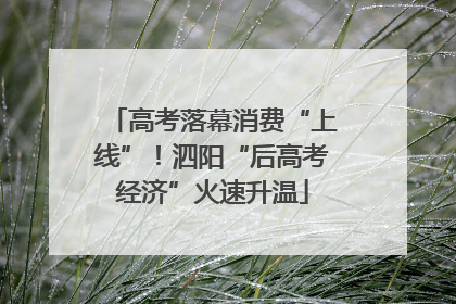高考落幕消费“上线”！泗阳“后高考经济”火速升温