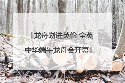龙舟划进英伦 全英中华端午龙舟会开幕
