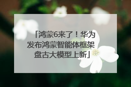 鸿蒙6来了！华为发布鸿蒙智能体框架 盘古大模型上新