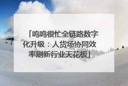 鸣鸣很忙全链路数字化升级：人货场协同效率刷新行业天花板